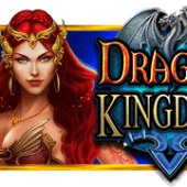 드래곤 킹덤™
