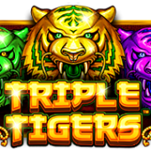 트리플 타이거즈™