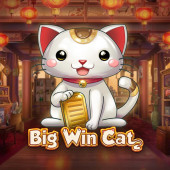 Big Win Cat
