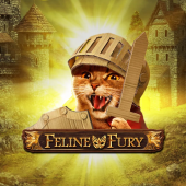 Feline Fury